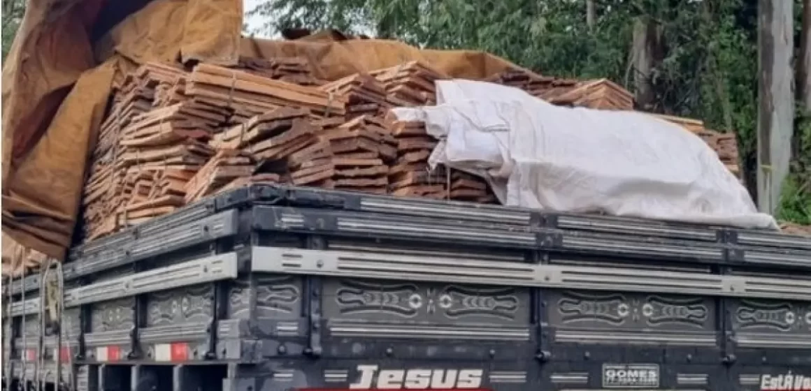 PRF apreende caminhão que transportava carga de madeira ilegal em Itabuna