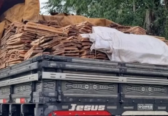 PRF apreende caminhão que transportava carga de madeira ilegal em Itabuna