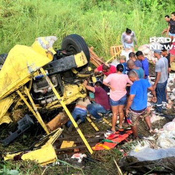 Caminhão cai em ribanceira na BR-101 em trecho do município de Itapebi