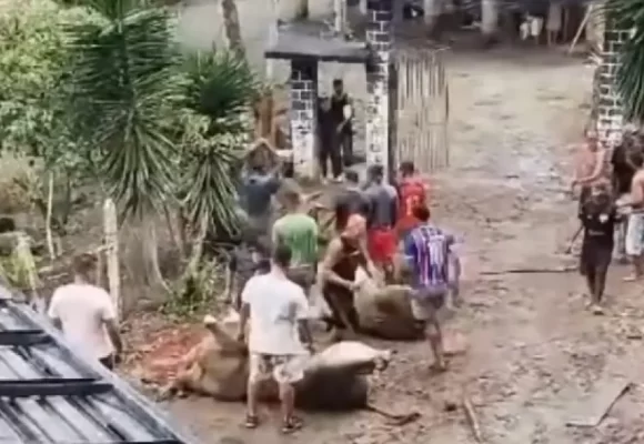 Caminhão tomba e carne é furtada em trecho da BR-101 de Itajuípe