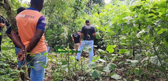 Corpo de jovem é encontrado em cova rasa no bairro Maria Pinheiro