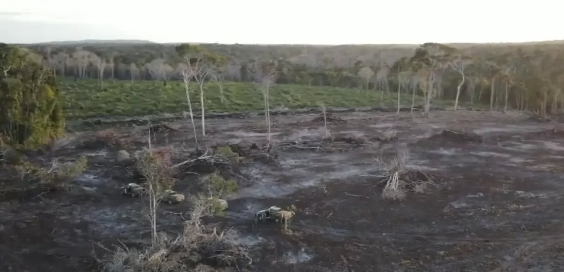 Ibama multa suspeito de desmatar 25 hectares de floresta em Santa Luzia